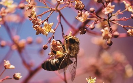 האמנם אין קולקטיב?