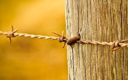 התורה היא נצחית ולא תתכופף מפני גחמות השעה