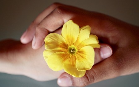 כבוד האישה ייעדר מהעולם כל עוד יש החפצה