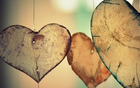 סתימת פיות בשם האהבה