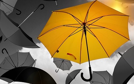 חופש הפרט לליברלים בלבד