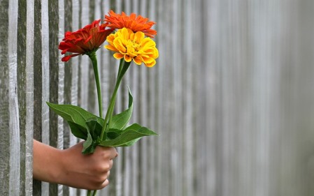 המעגל המשפחתי והחיים ביחד