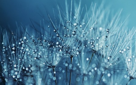 טבילת הקרח וטבילת האש