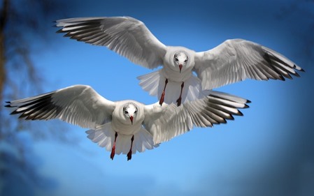 בין תרבות הממוקדת ביצר לבין תרבות הממוקדת בנצח