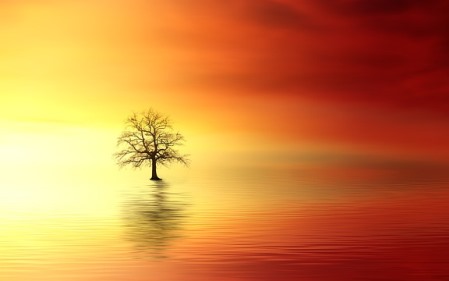 תגובה לנשים