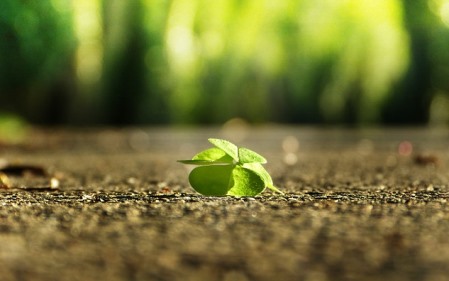 אולי תתנו כבר לשאול את השאלה הנכונה