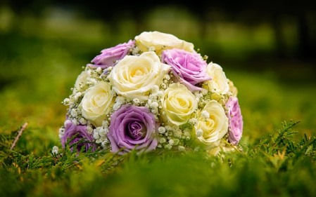 איפכא מסתברא