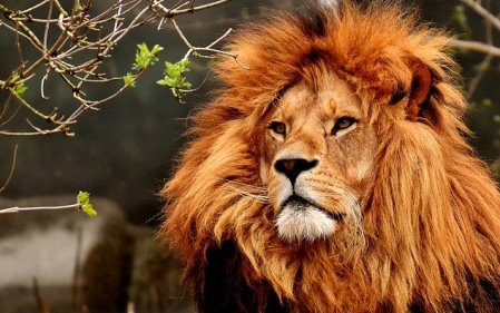 הפמיניסטיות שכנעו אותי: כל הגברים מסוכנים