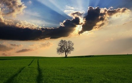 מה האנשים האלה מסוגלים להביו