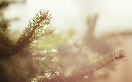 הדיון נוגע לתמצית הקיום: האם להעדיף את הנצח או את הרגע