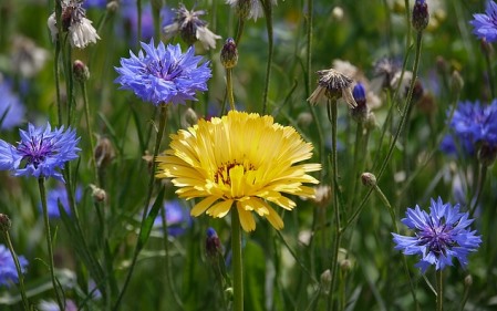 למה הממשלה מתערבת במעשי הפרט