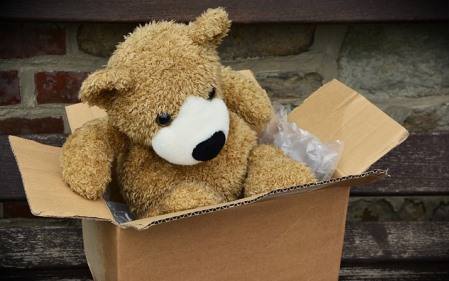 האם אדם יכול לאכול קרטון