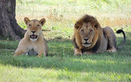 איך הסתדרנו עד עכשיו בלי שאלת המגדר?