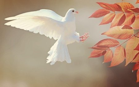 ויכוח בין תפישות עולם