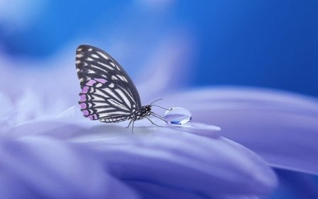 האם התורה היא נגד השכלה וקידום לנשים?