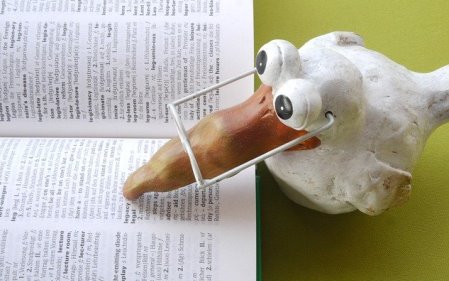 מילון מונחים לקראת המצעד