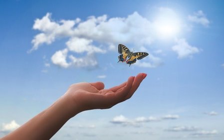 תן להיות חופשי ומאושר